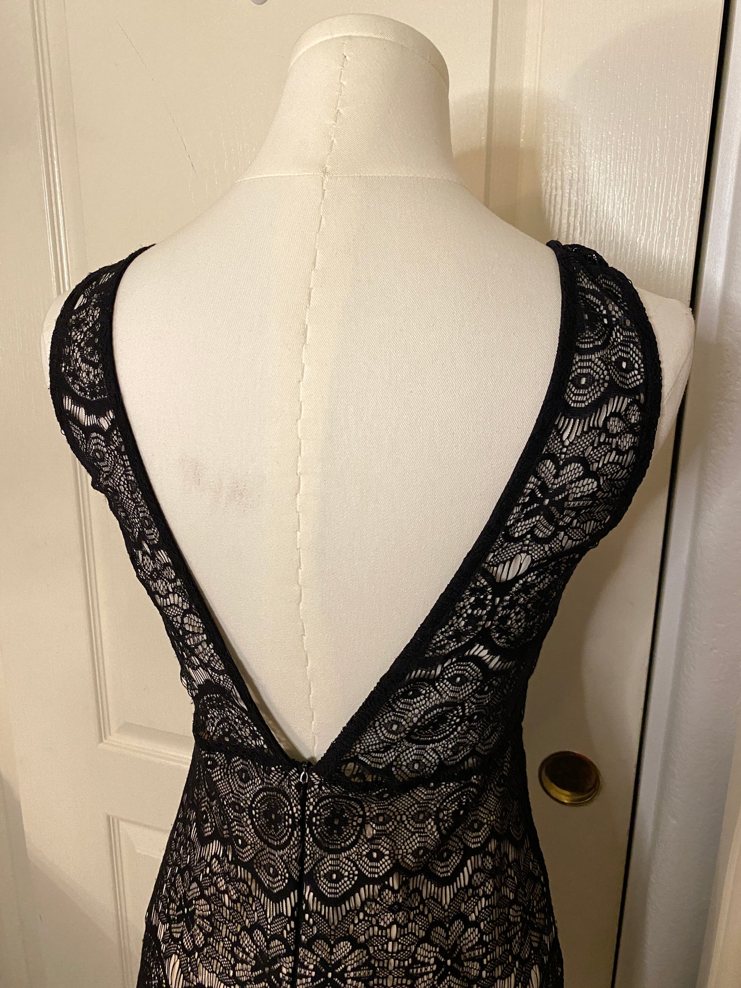 Diva Appared Black and White Lace Formal Elegant Long Dress