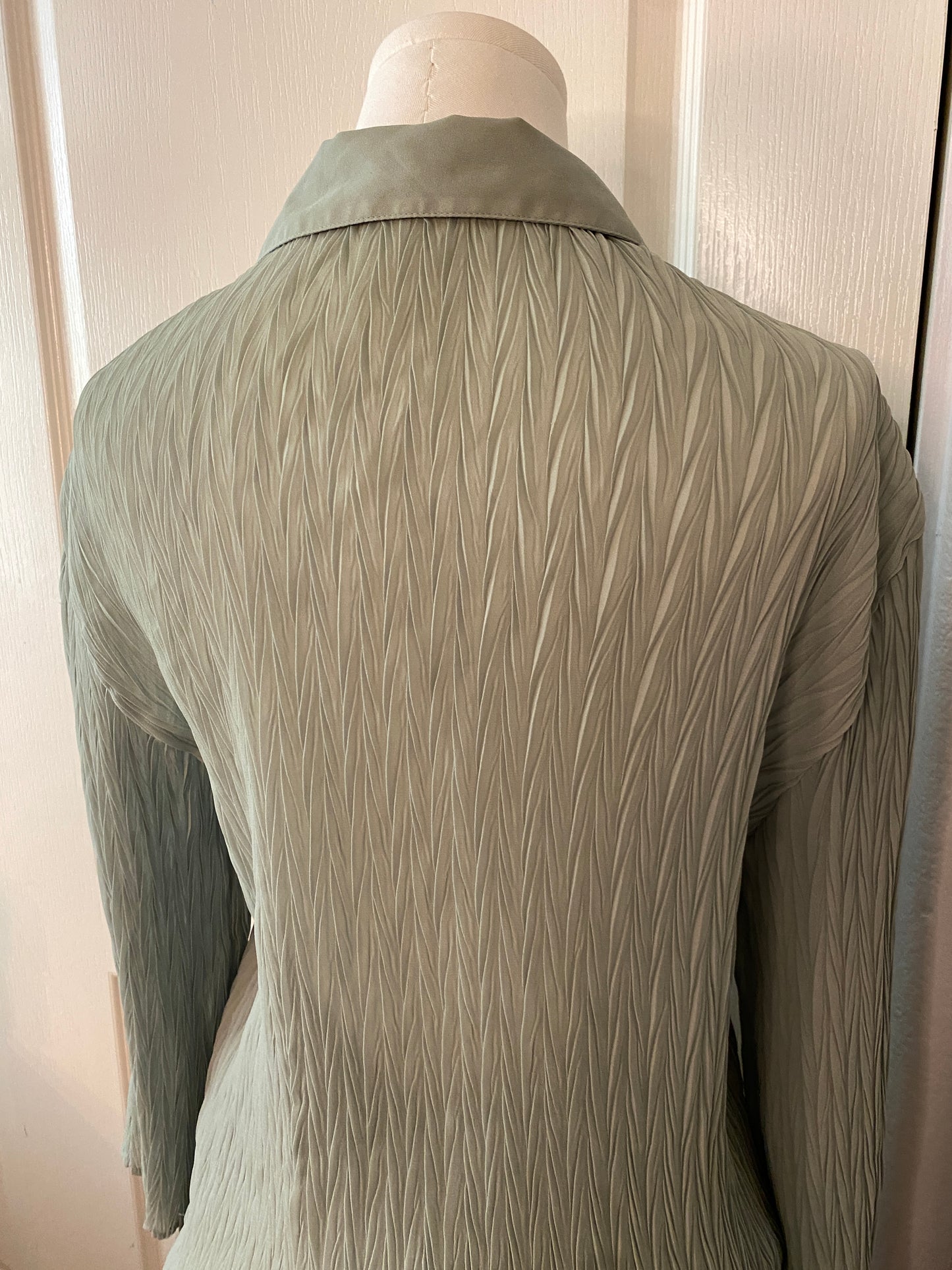 Nicola Green Safe Button Up Collared Long Sleeve Feminine Ruffle Blouse Top