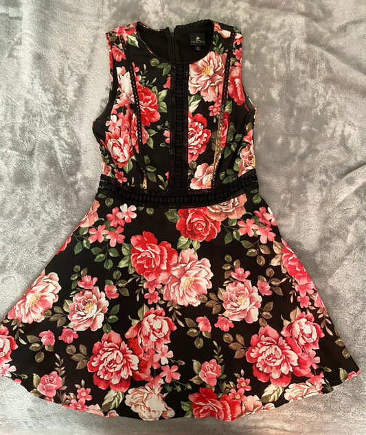 Disney Princess Floral Black and Pink Rose Sleeveless Mini Summer Dress